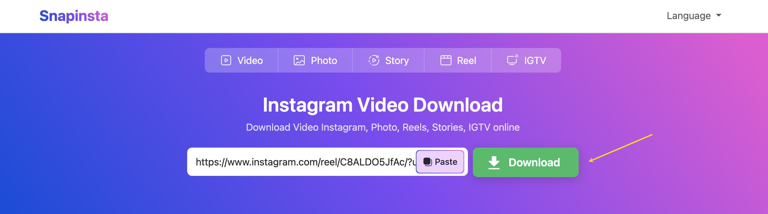 SnapInsta page for downloading Instagram Reels