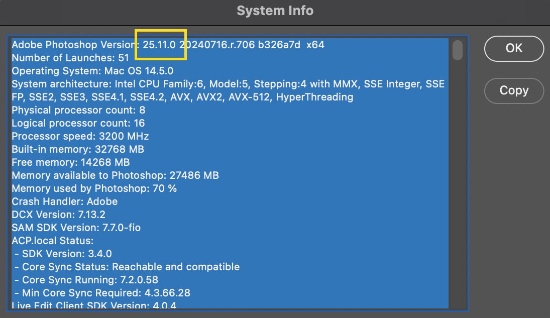 Photoshop System Info window